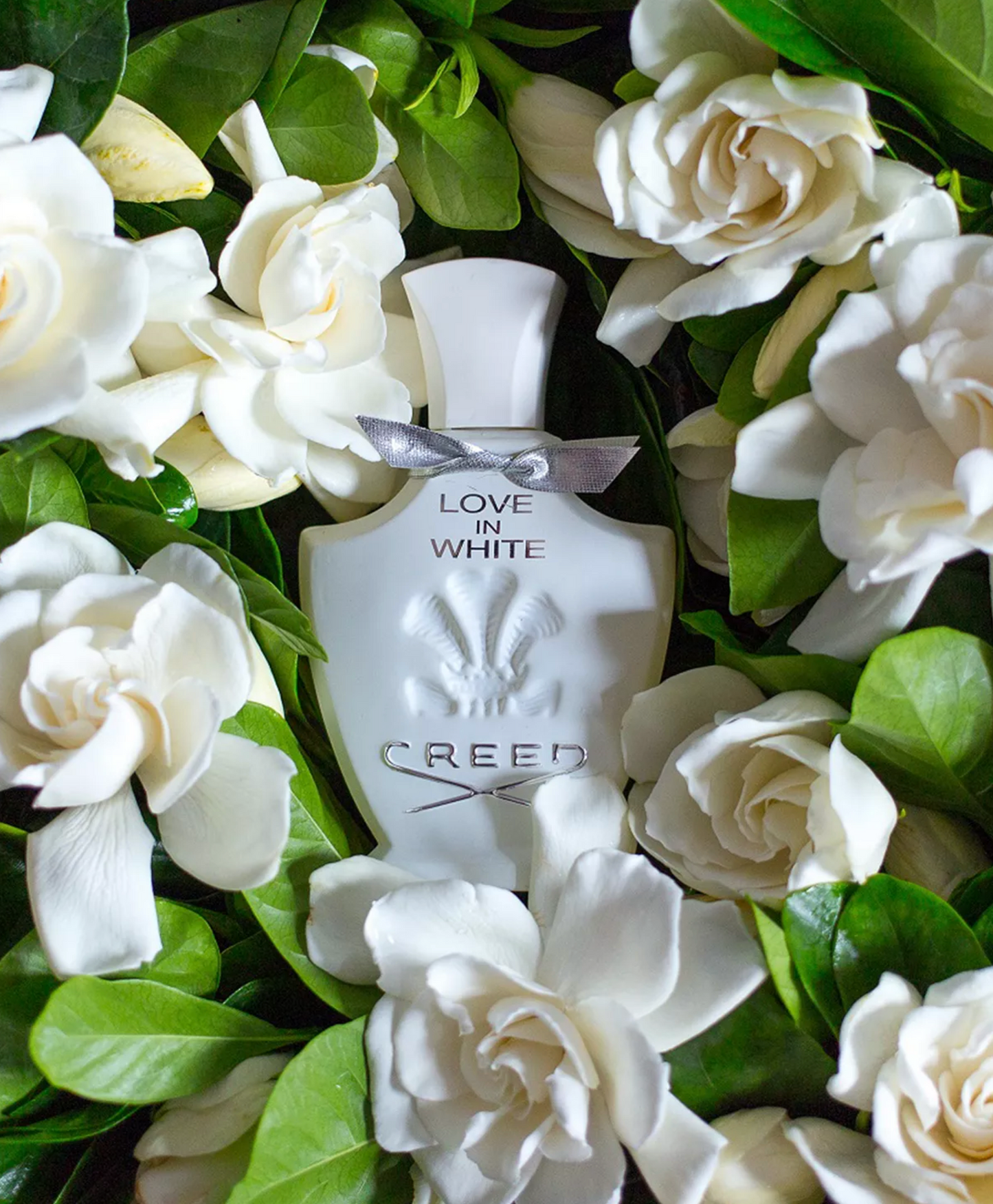 Creed Love in White 2.5 oz EDP for women